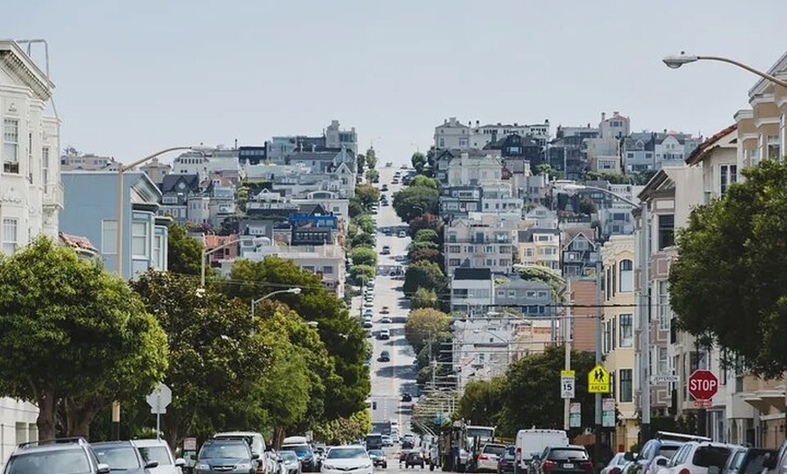 Image 10: San Francisco: Surrey Ride Along the Scenic Marina Waterfront