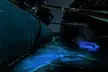 Bioluminescence Rafting Tour Cocoa Beach - Second Medium