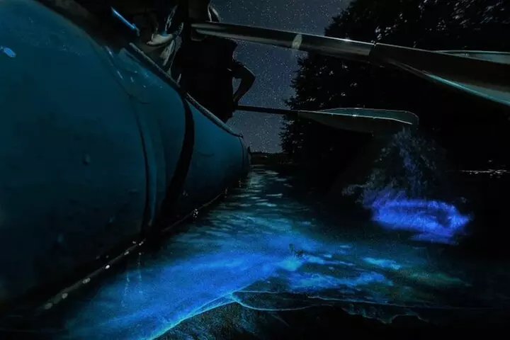 Bioluminescence Rafting Tour Cocoa Beach