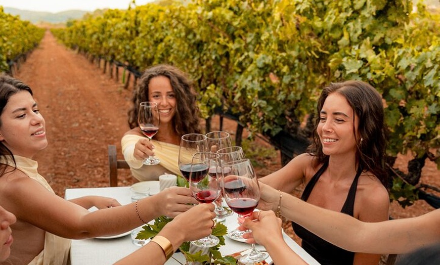 Image 10: Ibiza : Cata privada de vinos y aceites de oliva y Tapas y transporte