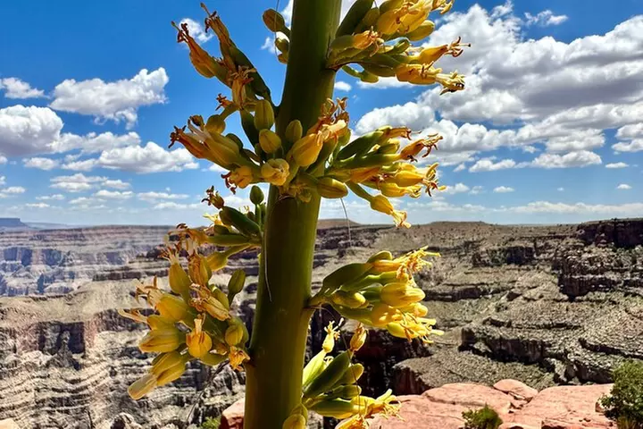 9am Start Small Group Grand Canyon Skywalk & Hoover Dam Tour