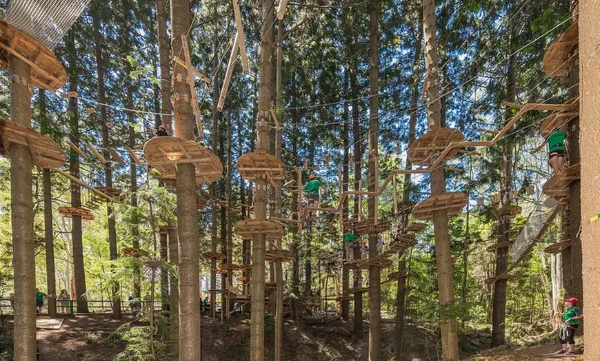 Image 1: Treetops Adventure The Hills - Tree Ropes Course