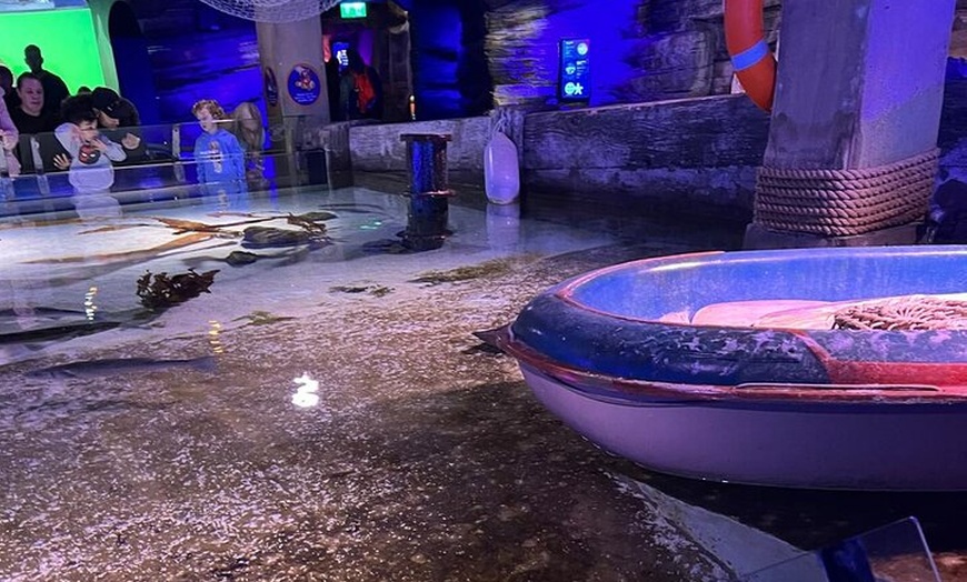 Image 19: Luxury Private Tour in London