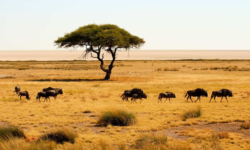 Image 5: ✈ NAMIBIE | Windhoek - Parcours Namibien 3* - Circuit