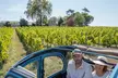 Excursion privée d'une journée à Saint-Émilion et Pomerol en 2cv - Image 5