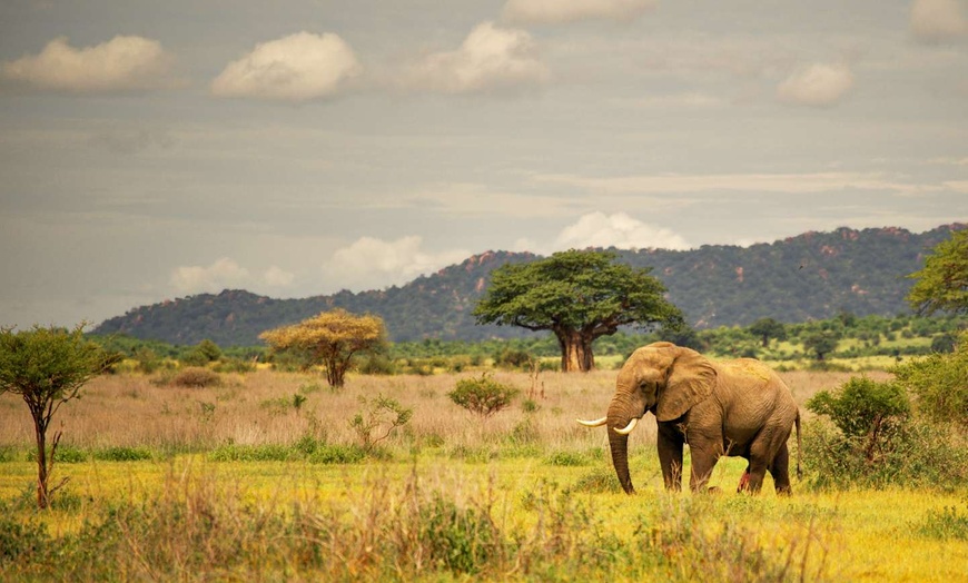 Image 8: ✈ TANZANIE | Dar Es Salam - Séjour d'exception en Tanzanie du sud 5...