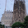 Image 1: 6 Horas Barcelona Tour Privado y Turismo