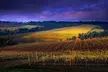 Small Group: Willamette Valley Wine Tour From Portland (Tasting Fees Included) - Second Medium