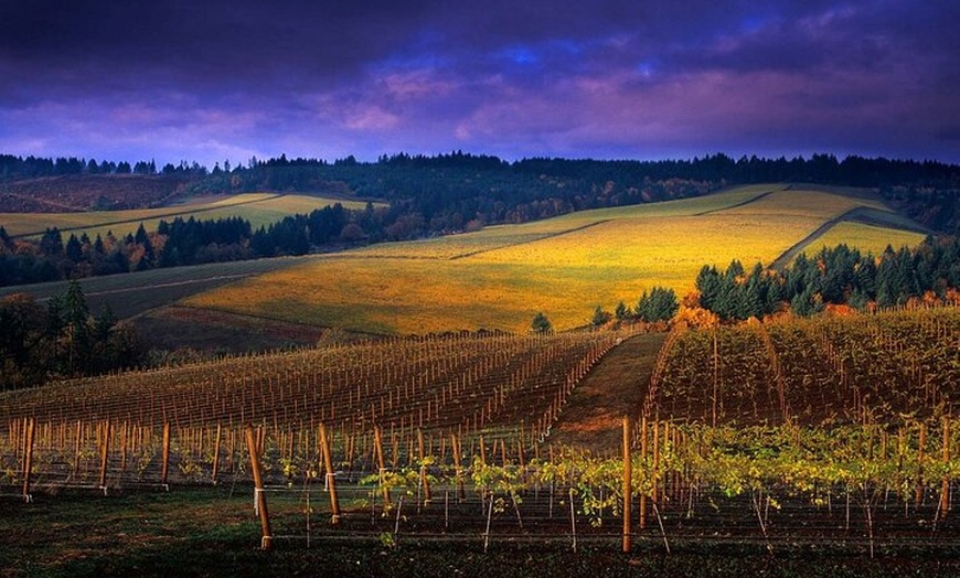 Image 2: Small Group: Willamette Valley Wine Tour From Portland (Tasting Fee...