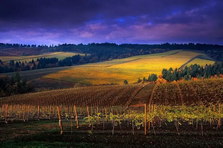 Small Group: Willamette Valley Wine Tour From Portland (Tasting Fee...