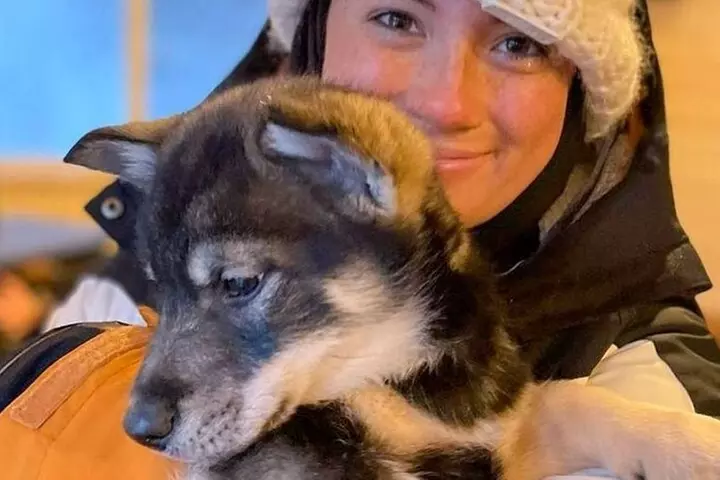 Dog Sledding & Animal Adventures – Anchorage Pickup