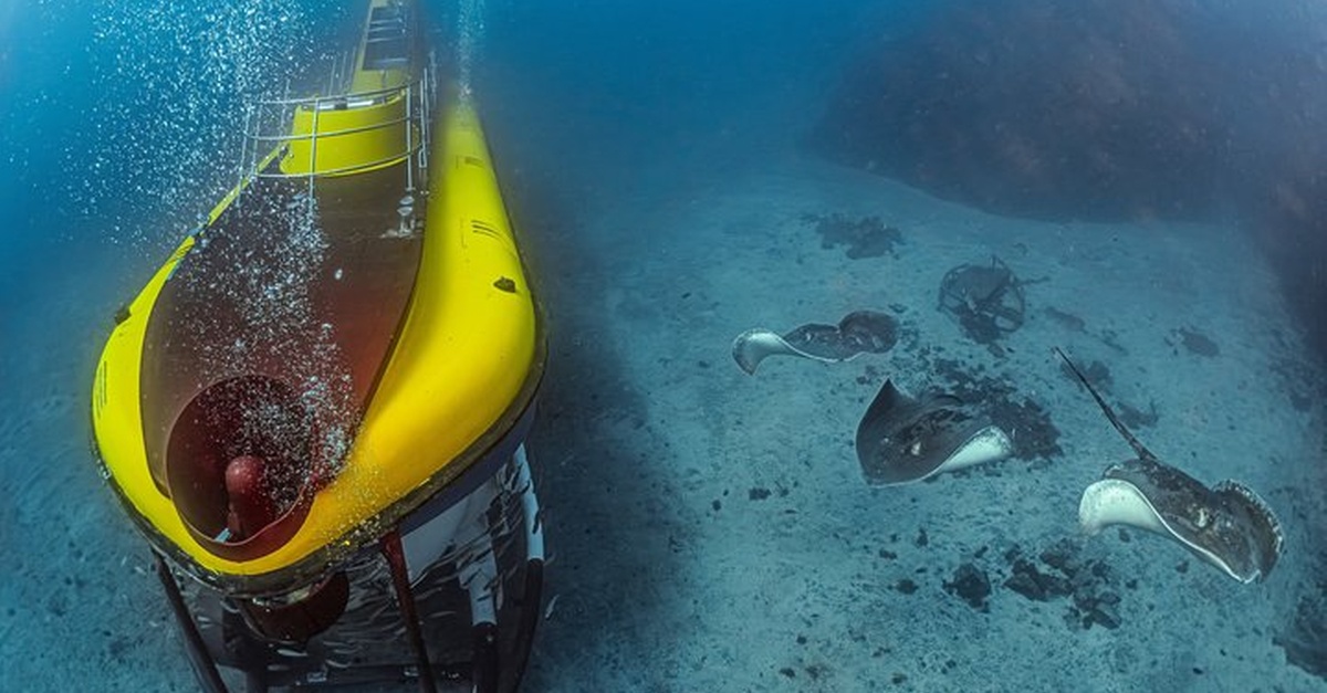 Tour submarino en Tenerife con recogida en Los Gigantes