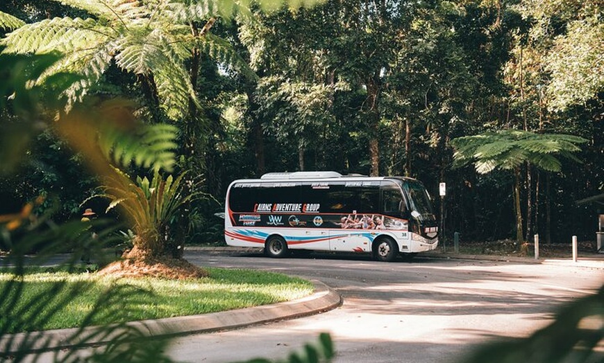 Image 2: Shore Excursion: Josephine Falls Half Day Adventure