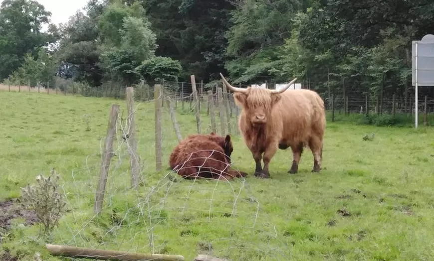 Image 1: Stirling Castle, Hairy Coo's & The Trossachs