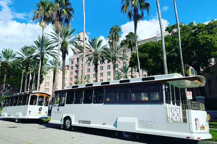 St Petersburg Ultimate (ALL-IN-ONE) City Trolley Tour