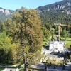 Image 6: Halbtagestour privat von München zum Schloss Neuschwanstein