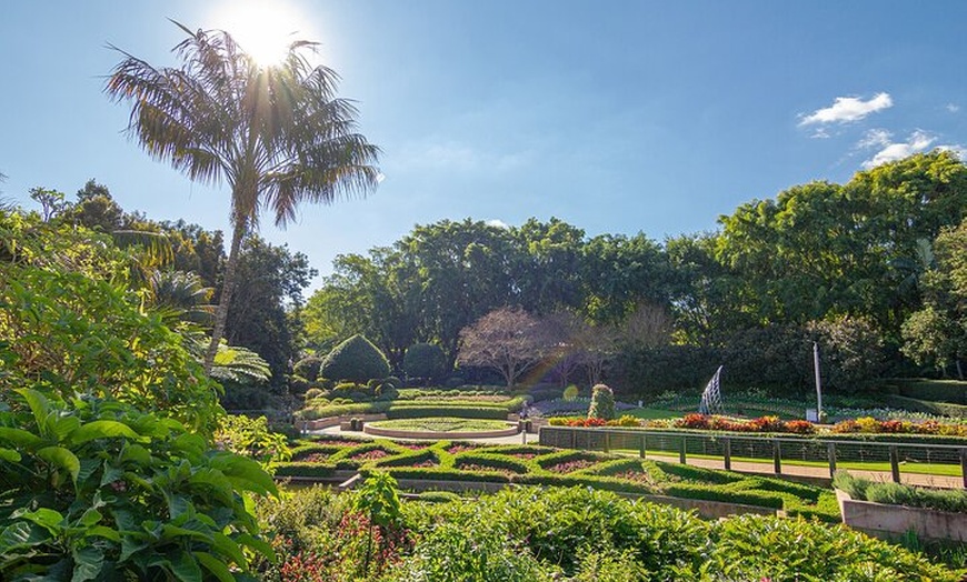 Image 8: Brisbane Insights Tour