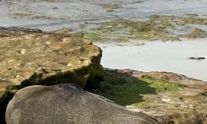 Image 7: Jervis Bay and Shoalhaven South Coast NSW Private Tours