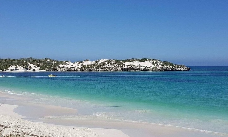 Image 4: Turquoise Coast and Pinnacles Desert, Lunch Included.