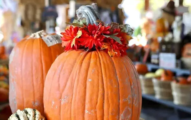 $20 For $40 Worth Of Goods & Services