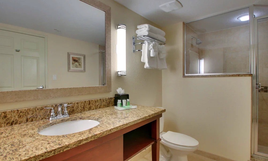 Image 11: ✈ FLORIDA | Orlando - Holiday Inn Resort Lake Buena Vista 3*, 3 nac...