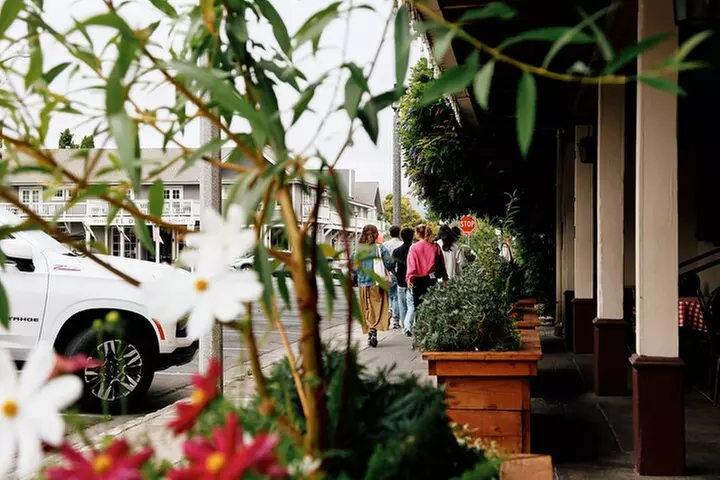 Napa and Sonoma Small Group Max 12 Wine Tour from San Francisco