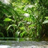 Image 14: Private Luxury Daintree Dream Tour All Inclusive