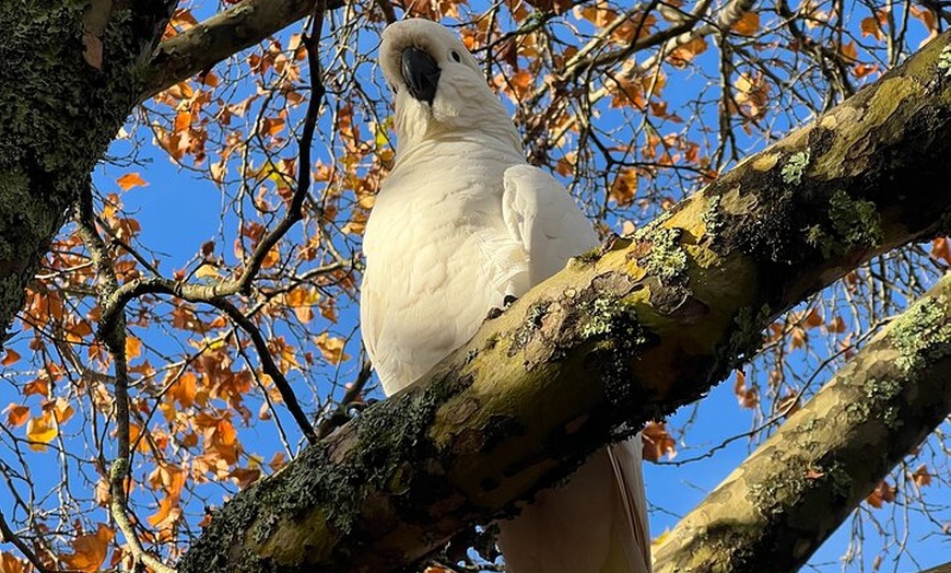 Image 4: Blue Mountains Private Group Day Tour from Sydney