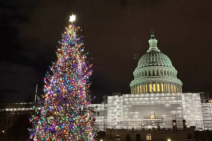 Washington, DC: National Christmas Tree & Holiday Lights Bus Tour