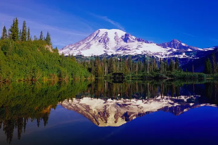 Mt. Rainier Day Tour from Seattle
