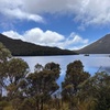 Image 7: Cradle Mountain Half Day Dove Lake Guided Tour with Lunch