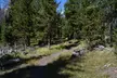 DeLacy Creek Trail Hike to Shoshone Lake with Lunch - Second Medium