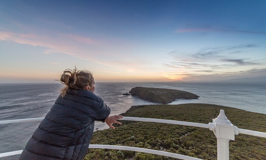 Image 8: Private Bruny Island Wine, Food,Sightseeing & Lighthouse Day Tour