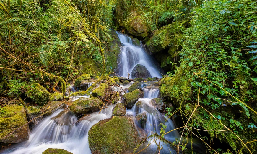 Image 5: ✈ COSTA RICA | San José - Fuga verde in Costa Rica - Viaggio on the...