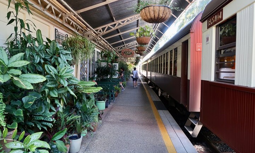 Image 8: Small Group Kuranda Tour via Kuranda Scenic Rail and Skyrail