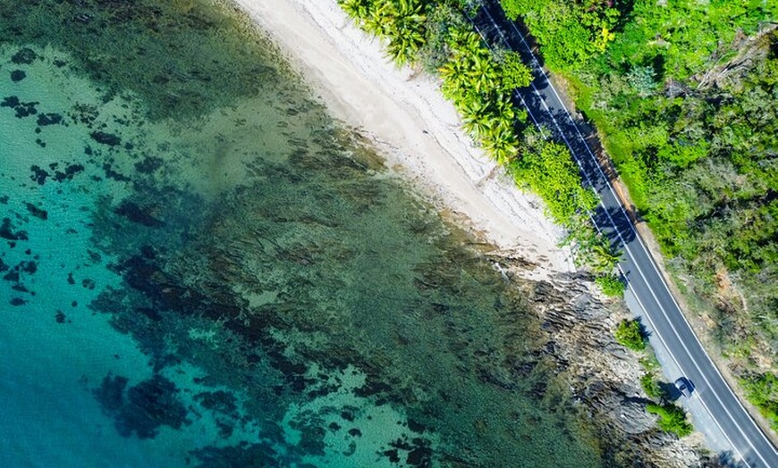 Image 10: Private Guided Tour in Port Douglas and Surrounds