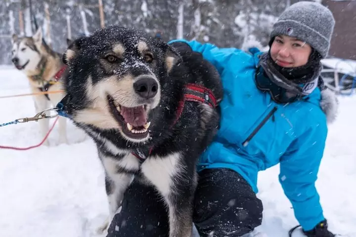 Sledding and Homesteading Adventure