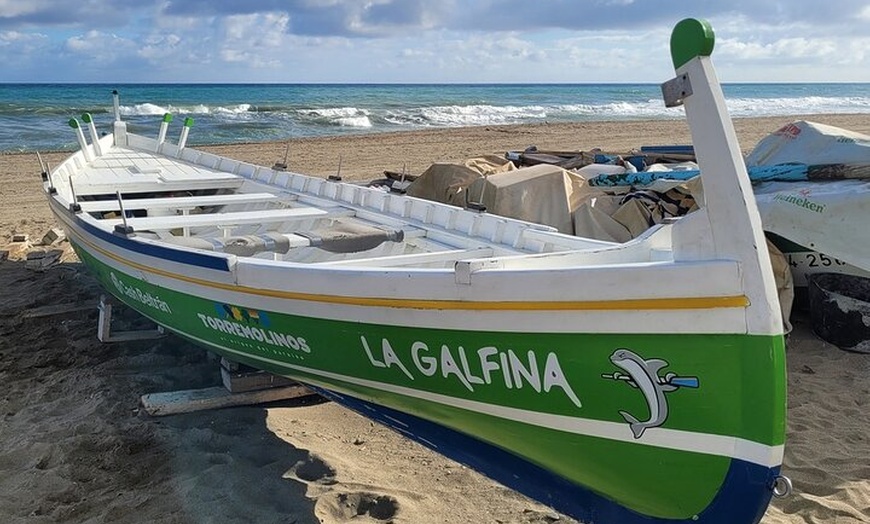 Image 6: Caza del carroñero autoguiado en Torremolinos