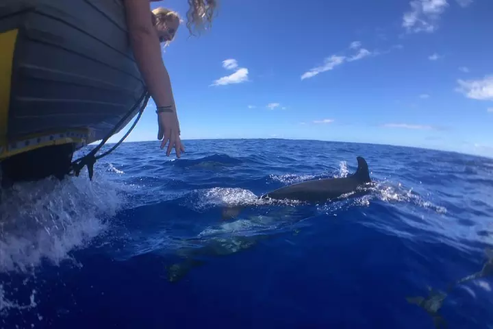Lanai Deluxe Dolphin Adventure & 3 Snorkel Sites