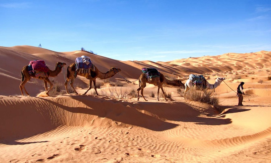 Image 11: ✈ TUNISIE | Djerba - Entre dunes et oasis – Réveillon dans le déser...