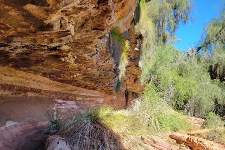 Highlights of National Park Full Day Tour with 4WD Hike Canoe - Image 3