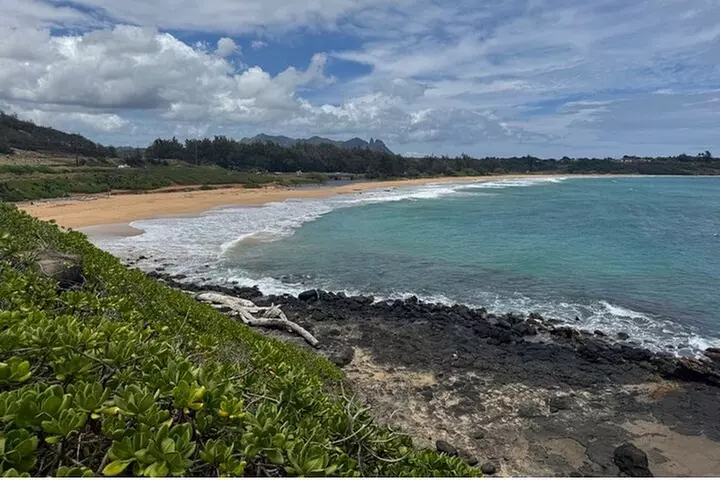 Kauai Waterfalls & Food Tasting-Small Group Tour