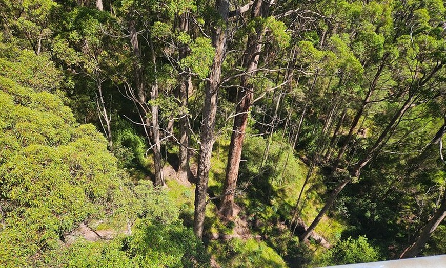 Image 3: 2 Day Tour Busselton Jetty, Ngilgi Cave to Valley of the Giants