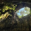Image 8: Private Tour to Chichen Itza, Cenote Swim and Valladolid Visit