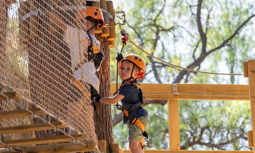 Image 6: Aerial Fun & Ziplining for Our Littlest Adventurers in Salisbury