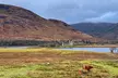 Edinburgh Lochs and Castles of the West Highlands Tour - Image 5