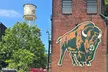 B&C Buffalo Trace and chuchill down - Second Medium