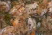 $20 for $40 Worth Of African Cuisine - Second Medium