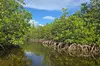 Florida Keys Kayak And Paddleboard Rentals