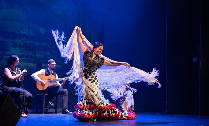 Image 4: Entrada para Espectáculo Flamenco Auténtico en Teatro de Madrid
